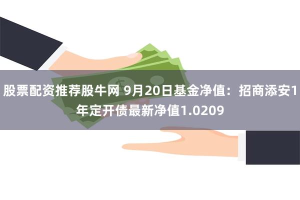 股票配资推荐股牛网 9月20日基金净值：招商添安1年定开债最新净值1.0209