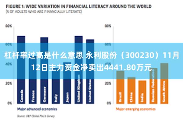 杠杆率过高是什么意思 永利股份（300230）11月12日主力资金净卖出4441.80万元