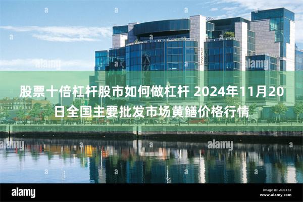 股票十倍杠杆股市如何做杠杆 2024年11月20日全国主要批发市场黄鳝价格行情