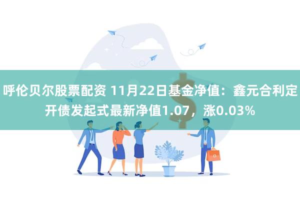 呼伦贝尔股票配资 11月22日基金净值：鑫元合利定开债发起式最新净值1.07，涨0.03%