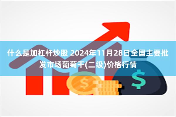 什么是加杠杆炒股 2024年11月28日全国主要批发市场葡萄干(二级)价格行情